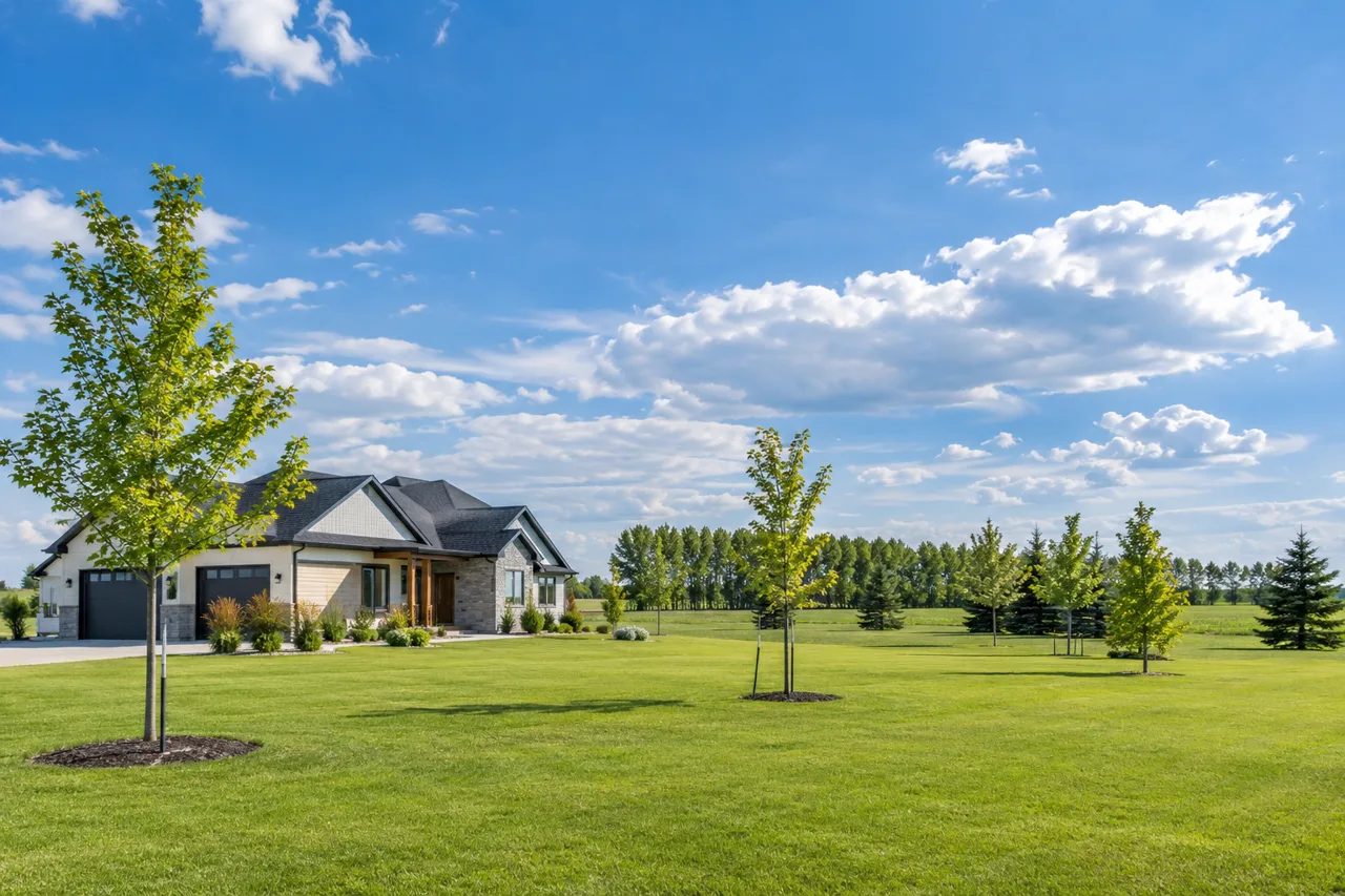 Young trees on an open prairie acreage