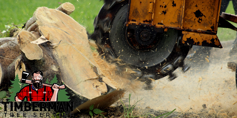 Stump Grinding - Stump Removal - Fargo, ND